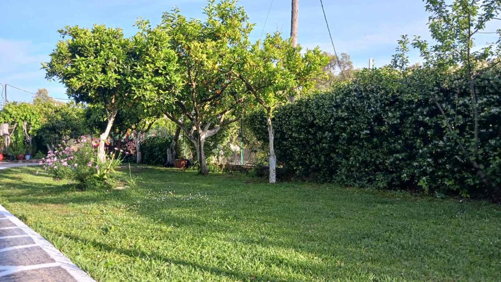 פארגה Villa Ioannidis מראה חיצוני תמונה