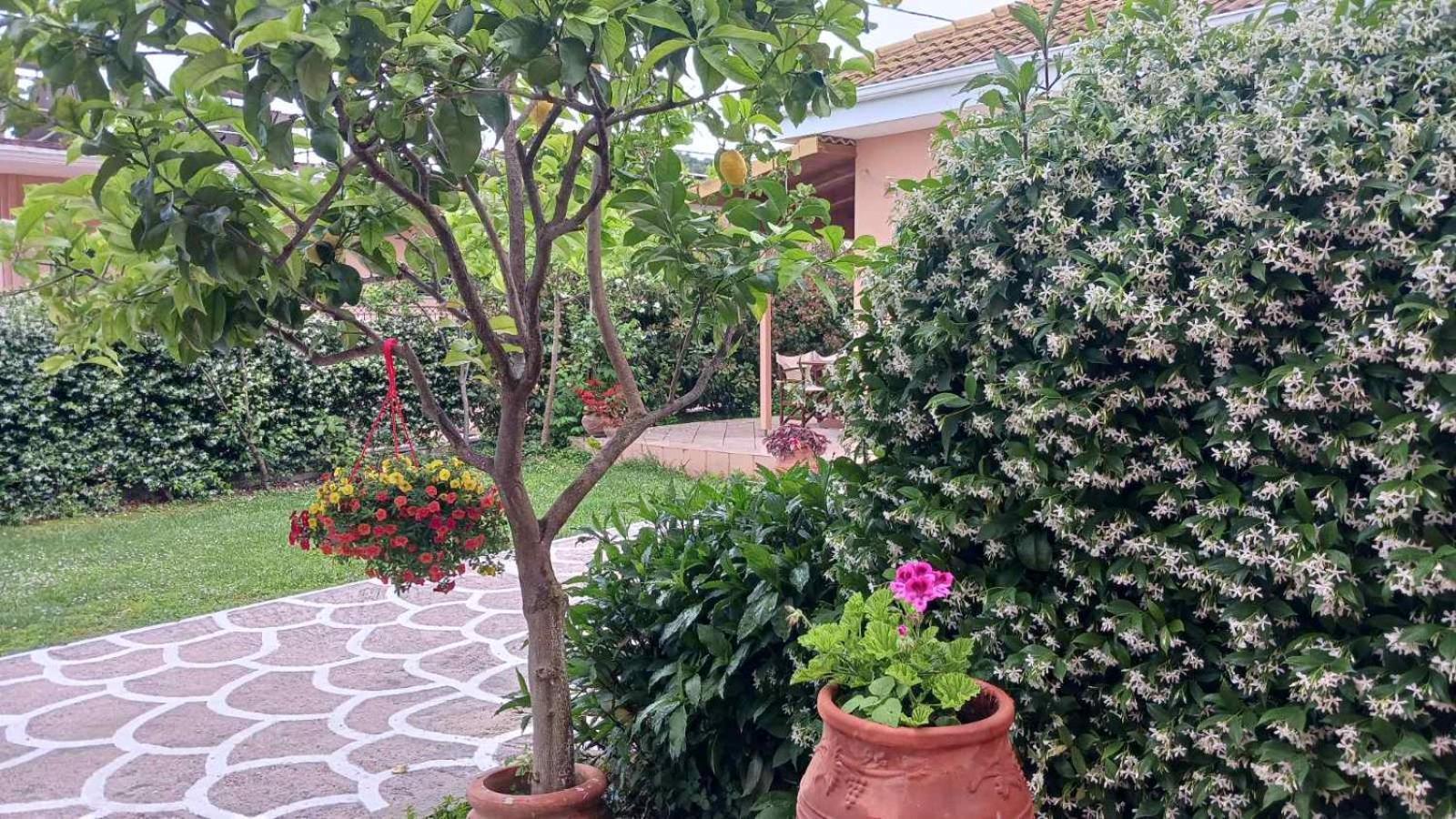 פארגה Villa Ioannidis מראה חיצוני תמונה